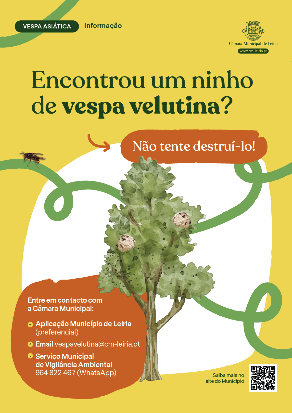Imagem Vespa Velutina